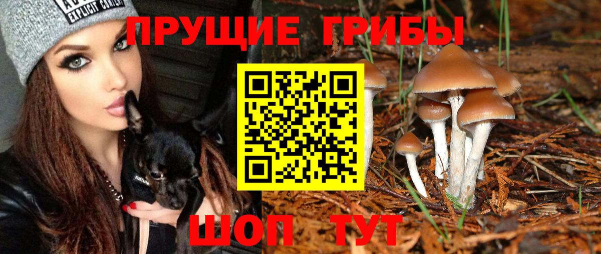 Псилоцибиновые грибы Cubensis  Вход с VPN  Самара 